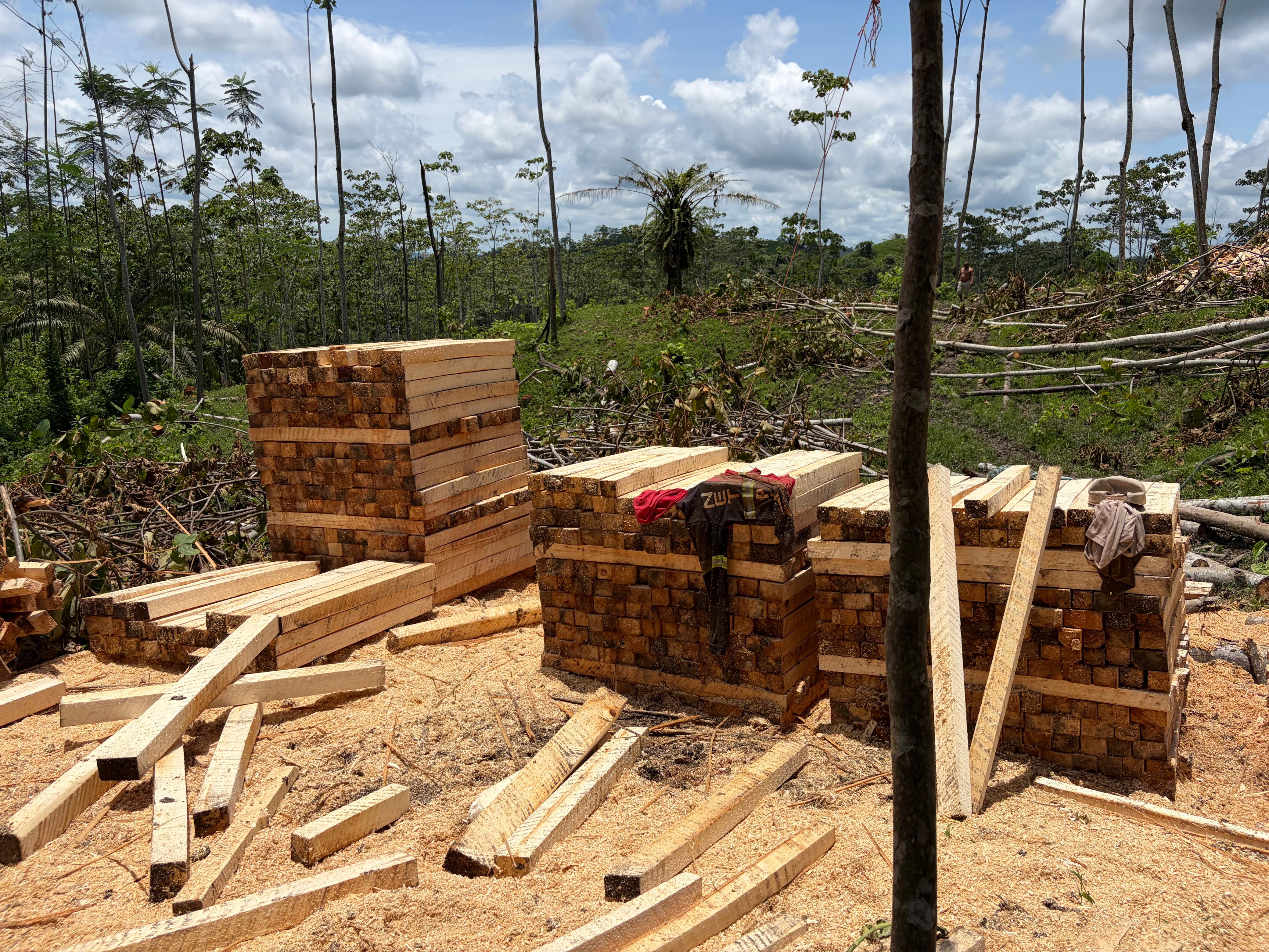 Piezas de madera apiladas en campo, fotografía proporcionada para CAPO MADERA FORESTAL.
